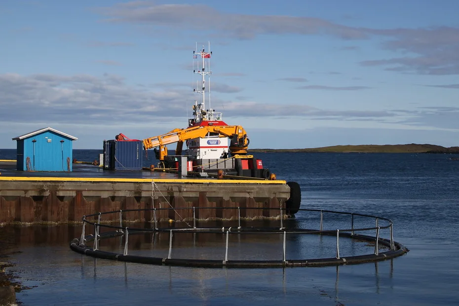 Sea cages at a working salmon farm