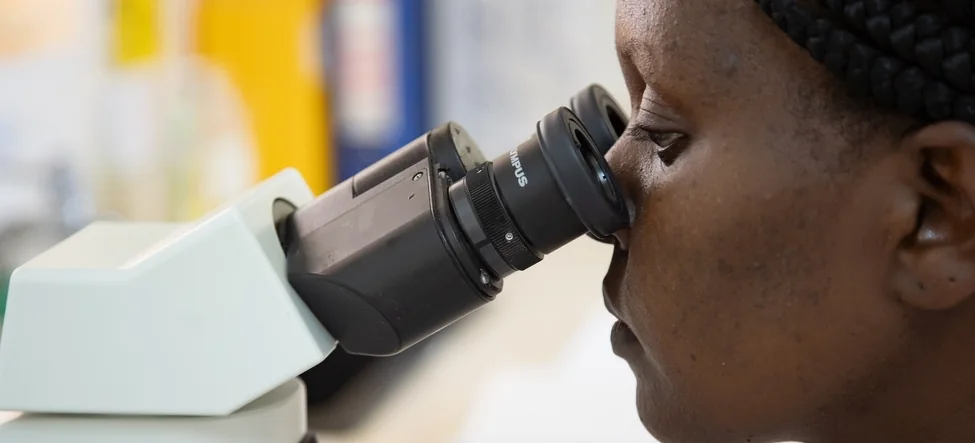 A researcher working at the microscope